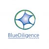 Blue Diligence Logo Blue Diligence Logo